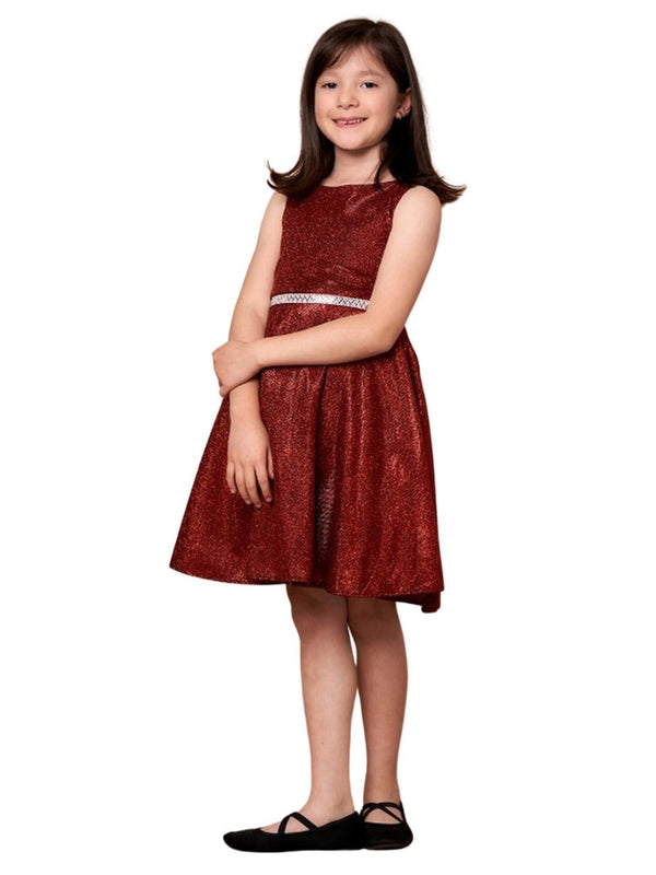 Little Girls Red Glitter Metallic Flower Girl Dress 2-6 - SophiasStyle.com